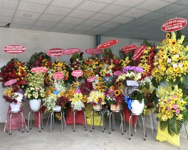 Đức Toàn Kỷ Niệm 20 Năm Thành Lập